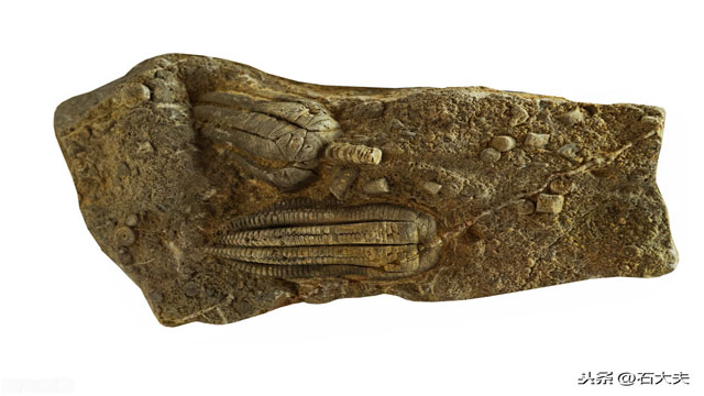 石質文物遭到破損污染怎么辦？破損的石質文物護理方法